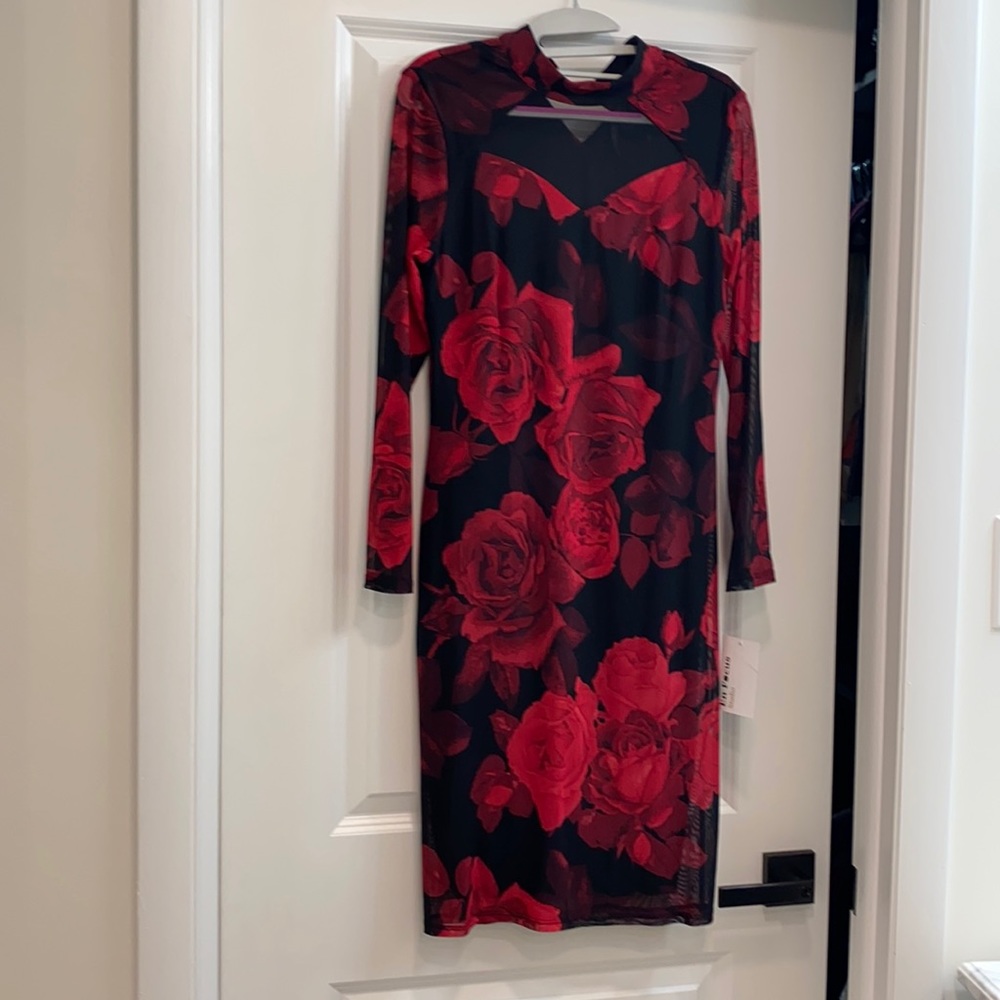 Brand new with tag Rose Dress